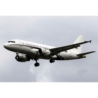 Airbus A319 CJ Airbus A319 CJ